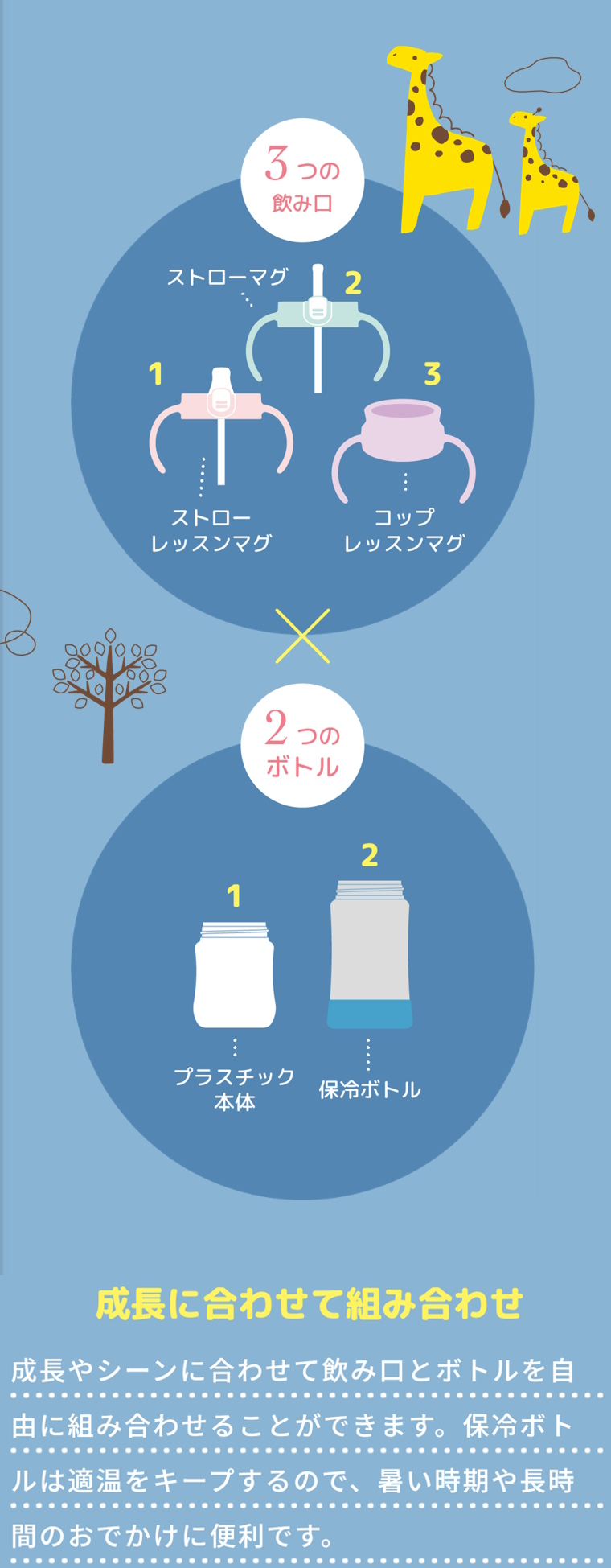 トライストローレッスンマグSD