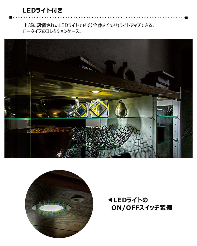 コレクションボード コレクションケース 幅120cm ショーケース