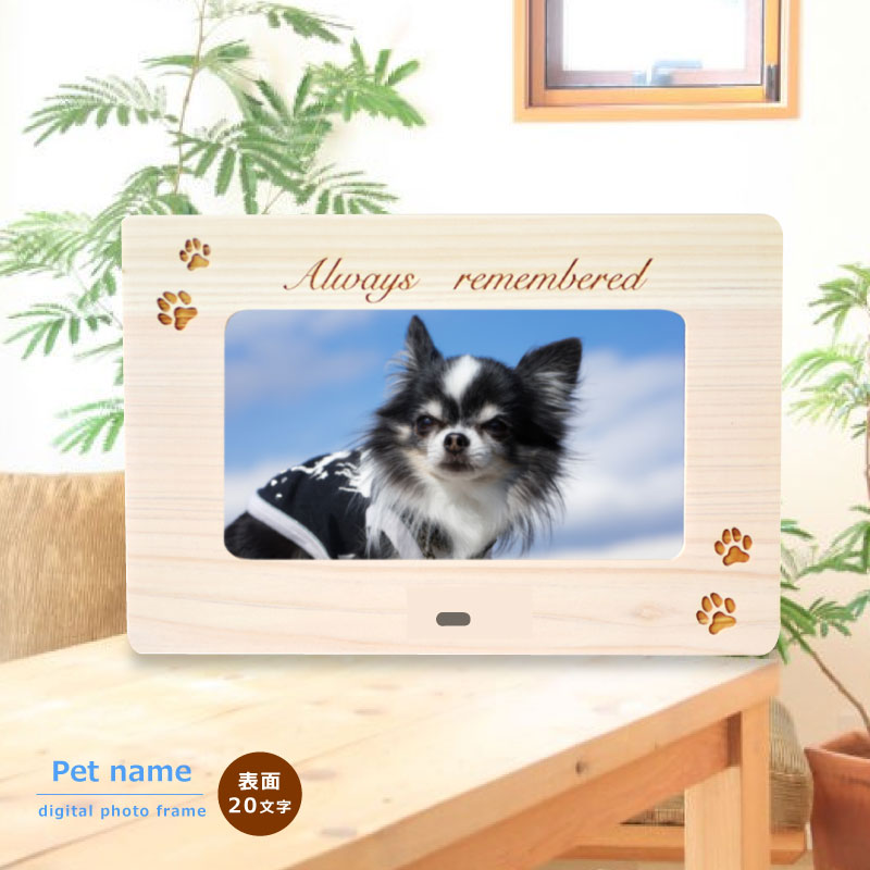 リニューアル！木製デジタルフォトフレーム ミニサイズ 蝶のイラスト