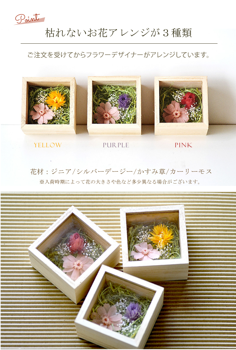 【名入れ花ギフト】ペット用メモリアルミニボック...の詳細画像2