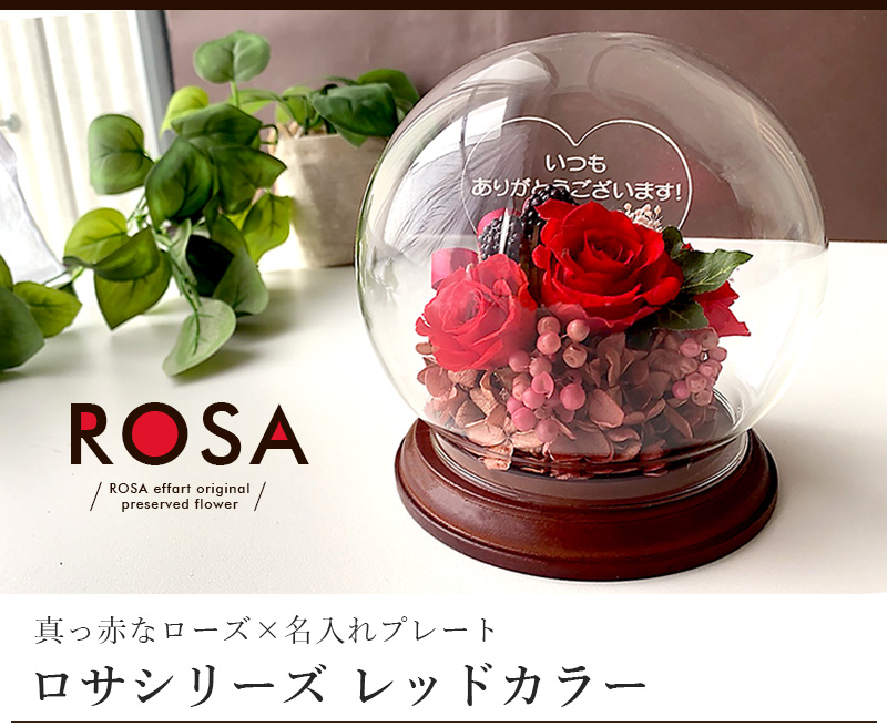 リニューアル！ドーム型 名入れ プリザーブドフラワーロサ （底面