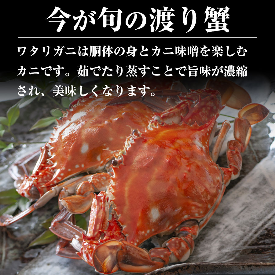 今が旬！ 青森産 天然 活〆ワタリガニ オス・メス 2杯セット およそ800g（2杯合計） 渡り蟹 わたりがに ガザミ 新鮮 送料無料 ※水揚げ次第発送