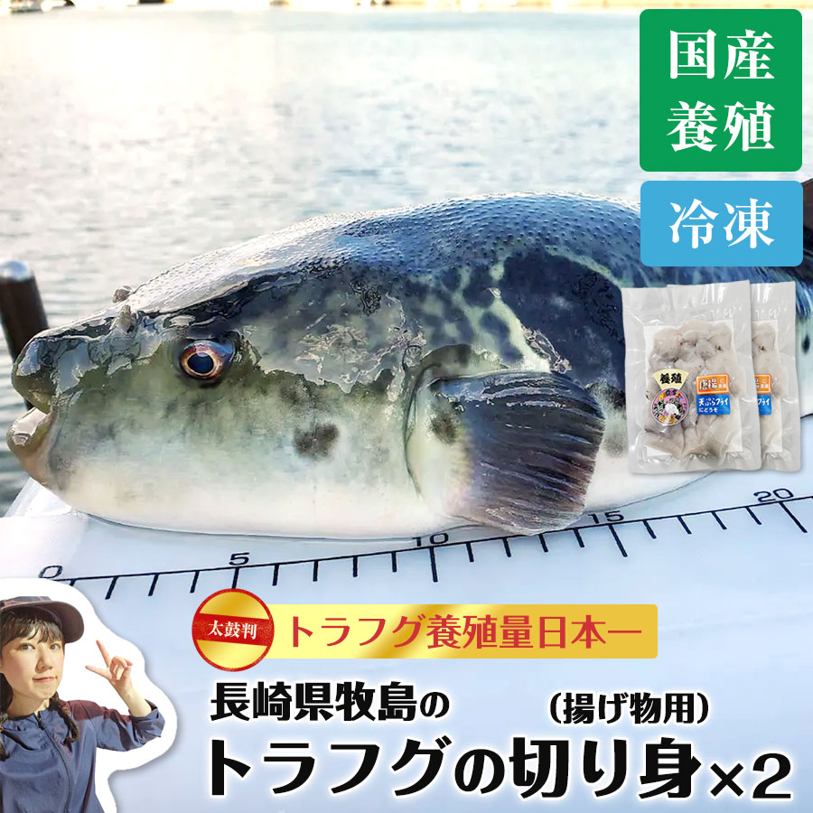 長崎県牧島のふぐのメイン画像