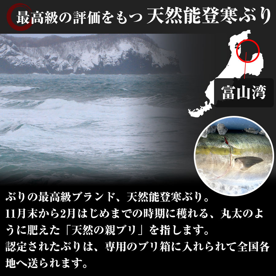 ぶりの最高級ブランド「天然能登寒ぶり」