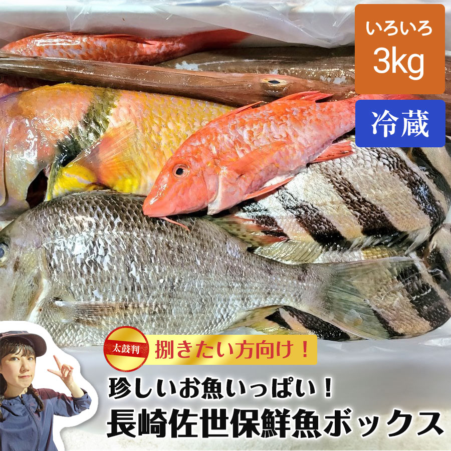 長崎佐世保 鮮魚ボックス 3kg | 鮮魚セット おまかせ鮮魚 魚介セット 生産者直送 朝どれ 朝獲れ 冷蔵 色箱の詰め合わせ 新鮮 お取り寄せ  送料無料 ギフト : sasebo-fishbox-3kg : RIDE THE SHIP - 通販 - Yahoo!ショッピング