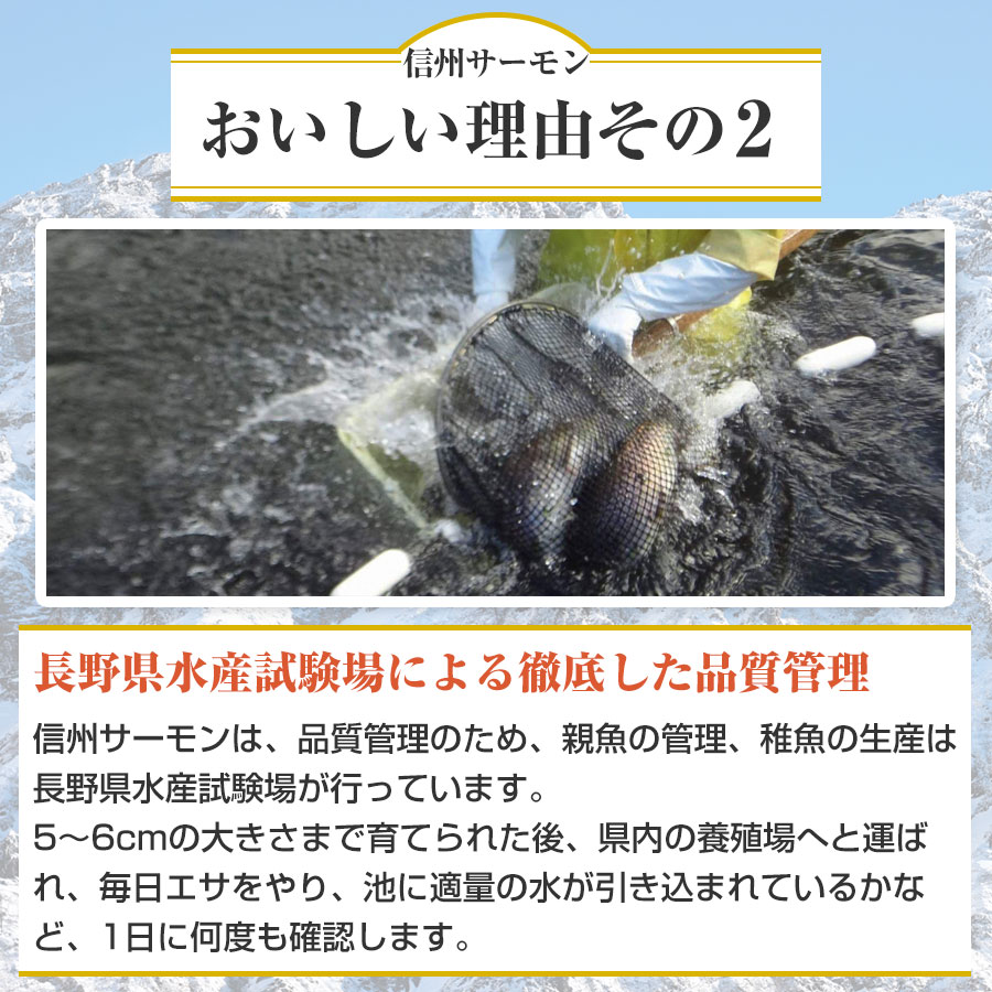 信州サーモン3枚卸の画像6