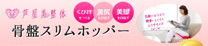 コニー 芦屋美整体 骨盤スリムホッパー ステッパー エクササイズ 骨盤運動 骨盤補正 骨盤引き締め ビートップス ロッピング じゅん散歩 選べるおまけ 後払い可 B Asy S Hopper りかの良品 Yahoo 店 通販 Yahoo ショッピング