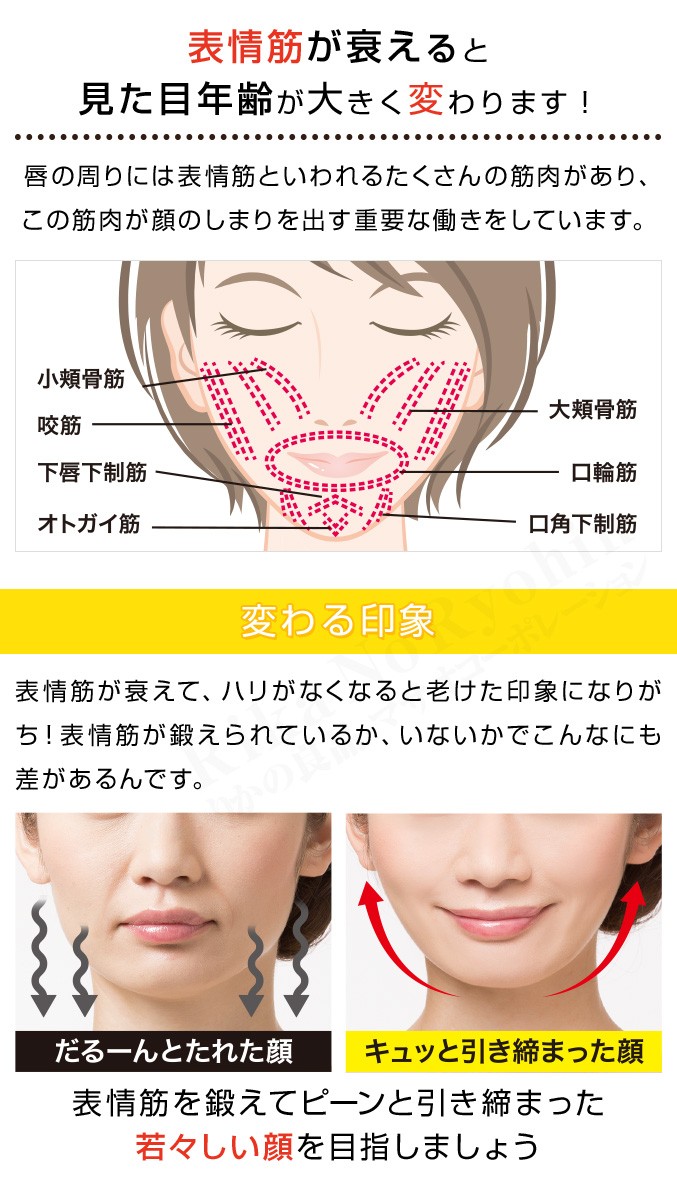 ニーズ リフトアップトレーナー ブルブルブル子 表情筋 リフトアップ