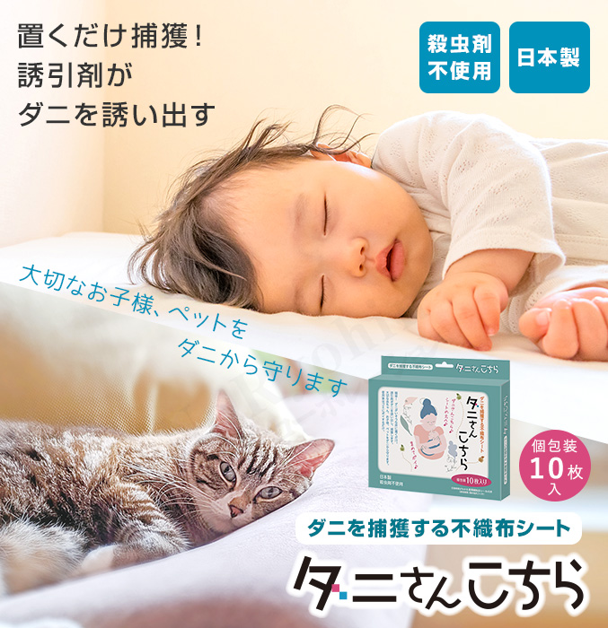 ダニさんこちら 10枚入り ダニ捕りシート ダニとり カーペット 布団