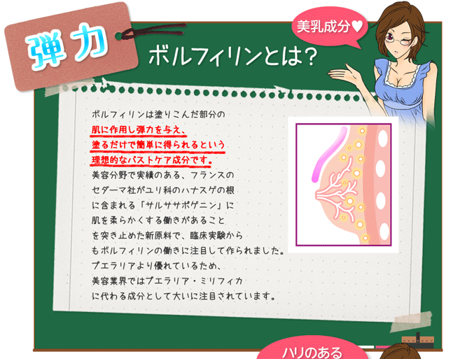 ラシュシュ ナノプラス 100g 秘伝のマッサージレシピ付き バストケア