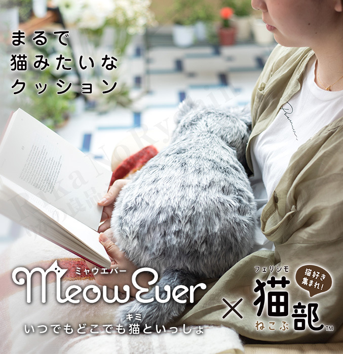 100％の保証ミャウエバー MeowEver 正規販売店 ぬいぐるみ 100s グッズ