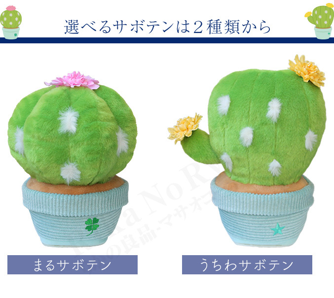 まねまね+ガーデン サボテン Manemane＋Garden まねまね まるサボテン