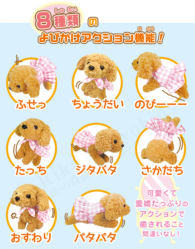Amazon.co.jp: NEW いっしょにあそぼう トイプーモカ ぬいぐるみ