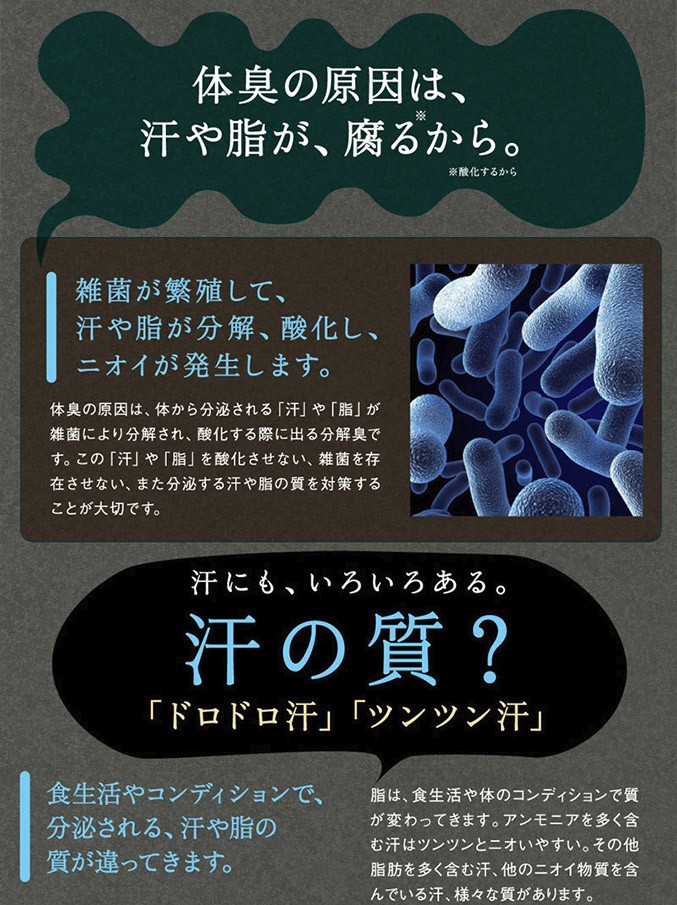 森の爽風ミスト