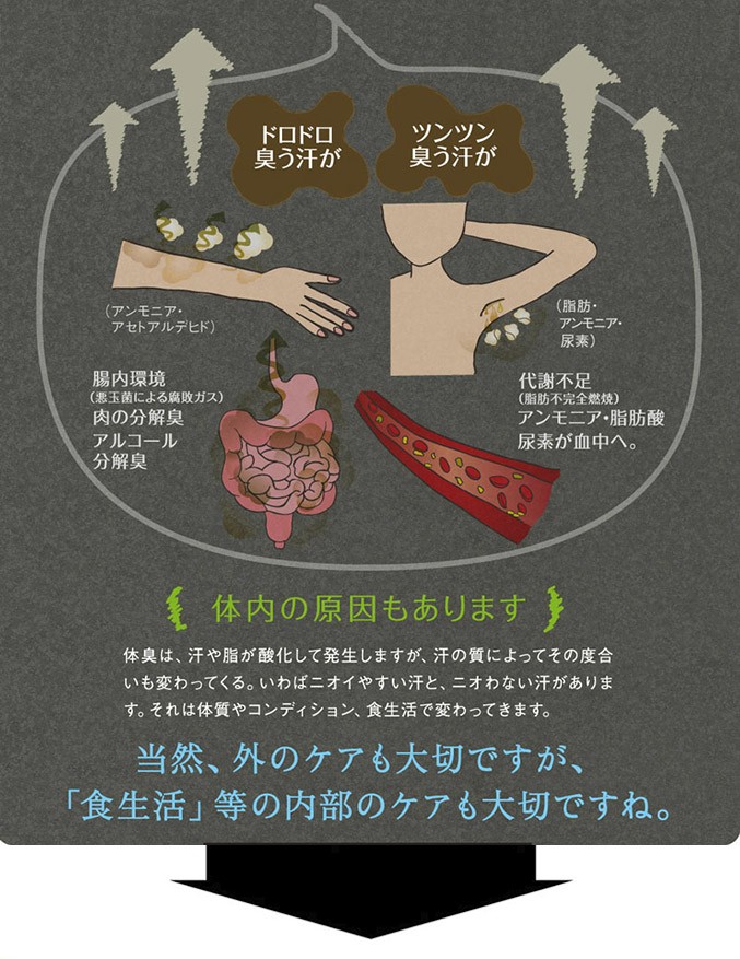 森の爽風ミスト