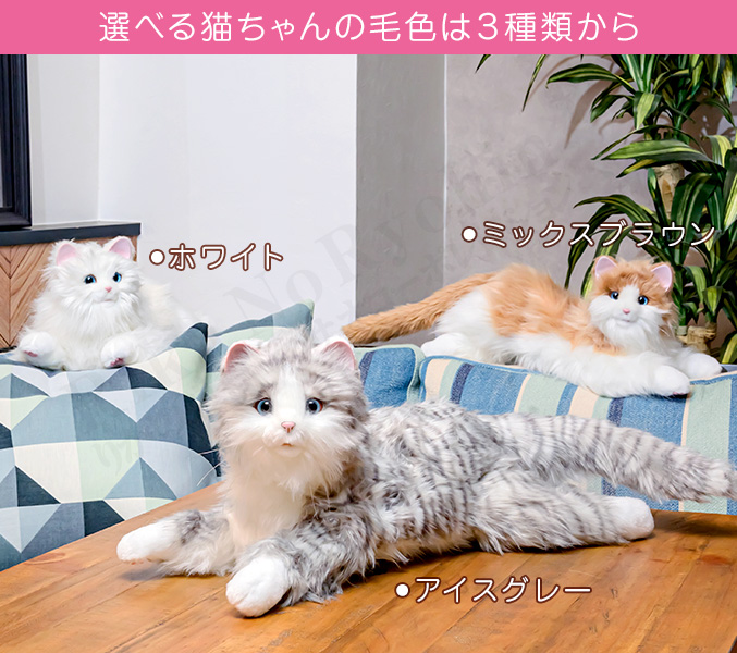 しっぽふりふり あまえんぼうねこちゃん ミックスブラウン ねこ 猫 ネコ ぬいぐるみ ロボットペット 120s  bnm｜rikaryo｜12