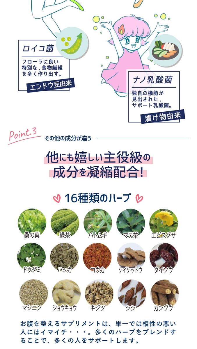 SVELTY スマート菌スーパー 30日分 30粒 菌活 スマート菌 スベルティ