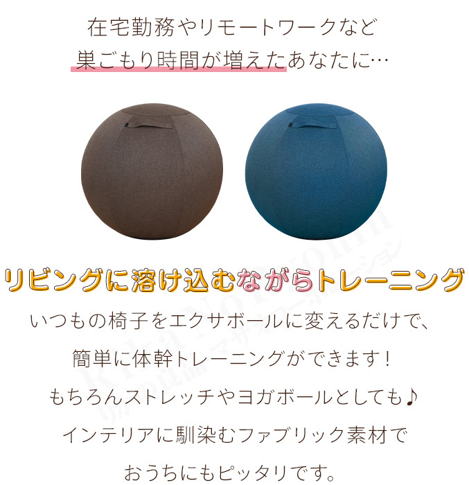 体幹バランスエクサボール
