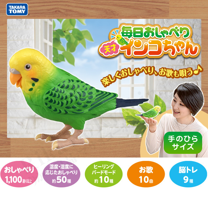 Takara Tomy - タカラトミー 毎日おしゃべり 天才インコちゃん Amazon.co.jp: タカラトミー TAKARATOMY 毎日おしゃべり 天才
