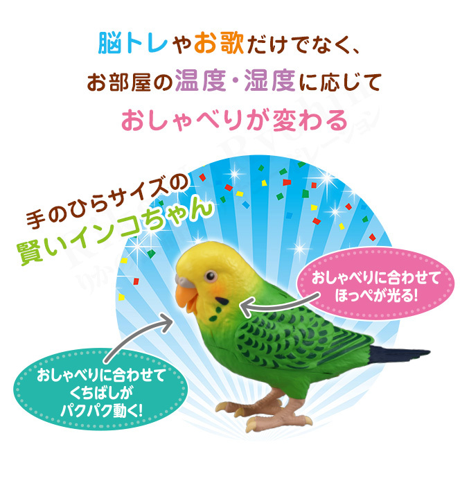 タカラトミー 毎日おしゃべり天才インコちゃん セキセイインコ