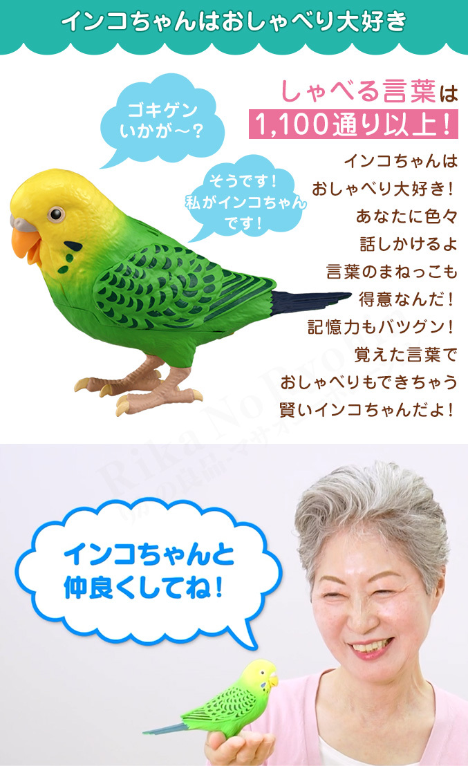 タカラトミー（TAKARA TOMY） 毎日おしゃべり 天才インコちゃん 青色