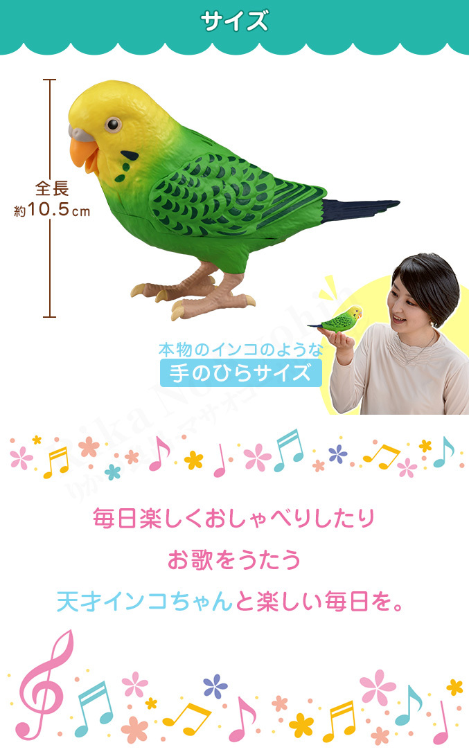 Yukari | ♪ Ikura and Toro We love football! イクラとトロ