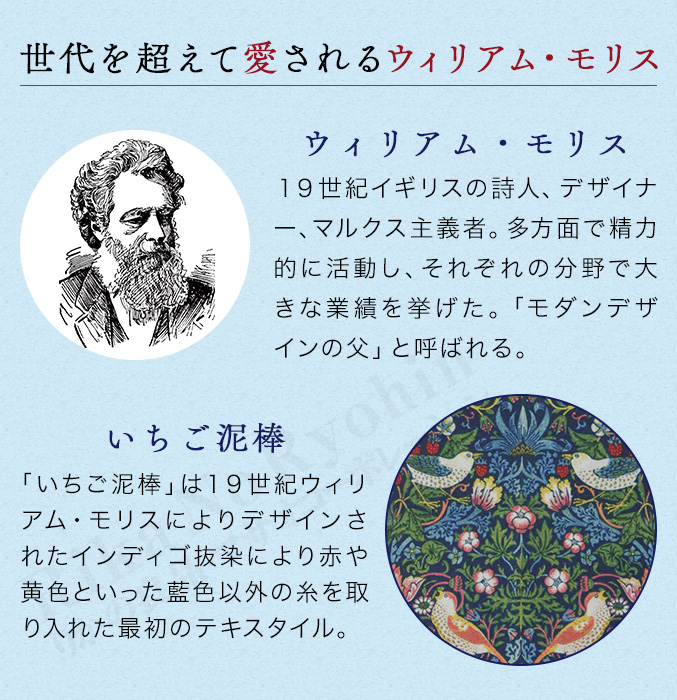 モリス エレガントメガネケース クロス付き 眼鏡ケース ハード いちご泥棒 ウィリアム モリス メガネケース おしゃれ 眼鏡クリーナー ニーズ 60s sdf |  | 02