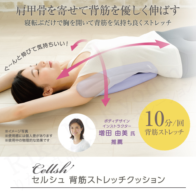 Cellsh セルシュ 背筋ストレッチクッション