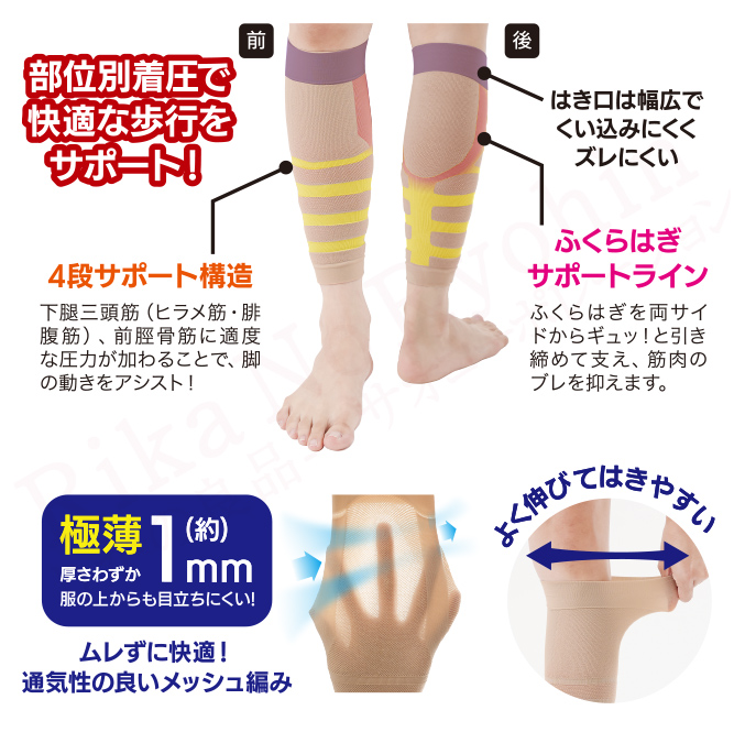 ニーズ Dr.PRO 薄型着圧ふくらはぎサポーター 左右兼用 2枚組×1セット