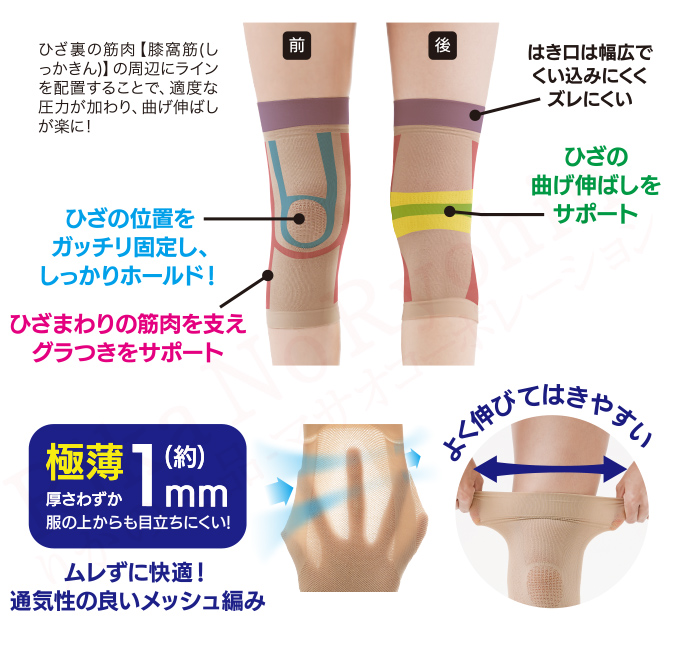ニーズ Dr.PRO 薄型固定ひざサポーター 左右兼用 2枚組×1セット メール
