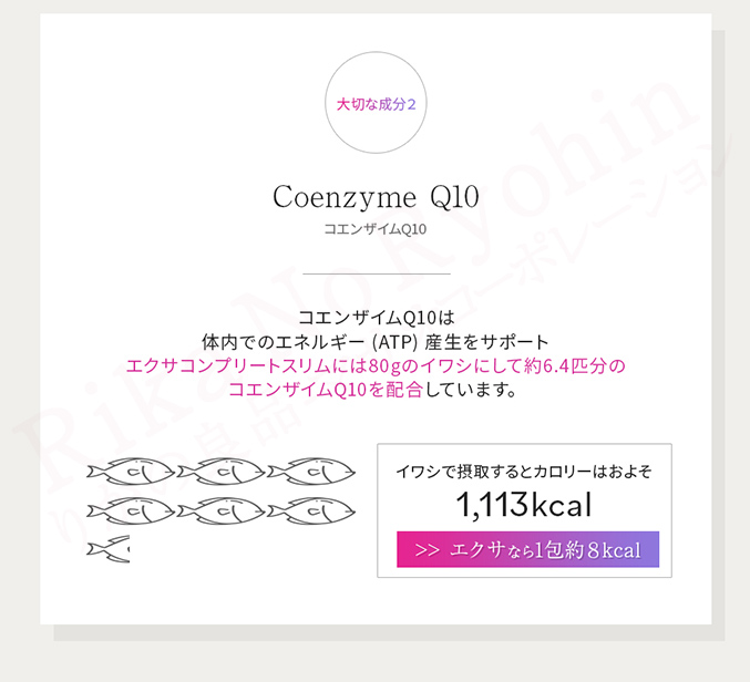 大切な成分2：コエンザイムQ10