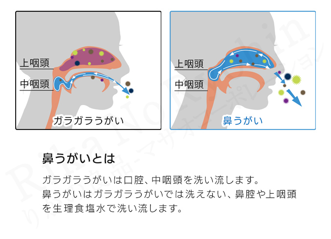 鼻うがいとは