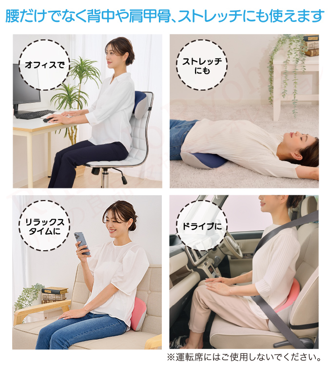 選べる2個セット ニーズ 腰ほぐしボールクッション 2個セット 姿勢