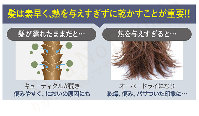 MEリカバリーエアー 株式会社川 SEN セン ドライヤー 美髪 速乾 静電気ケア 低温 ダメージケア イオン ツヤ スタイリングアタッチメント付  80s