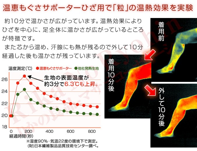 温恵もぐさサポーター 足首用 2枚組 メール便 神戸生絲 おんけい