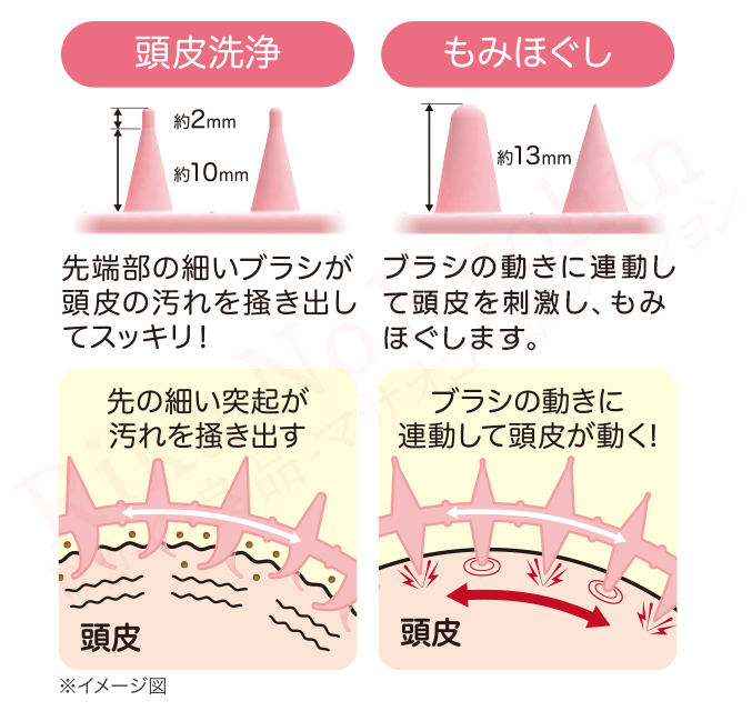 頭皮洗浄、もみほぐし