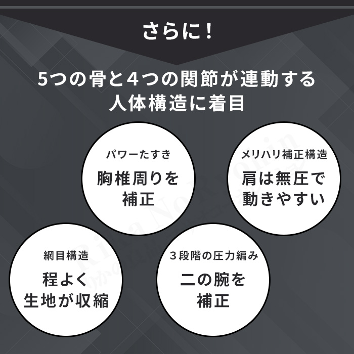S襷Light eX