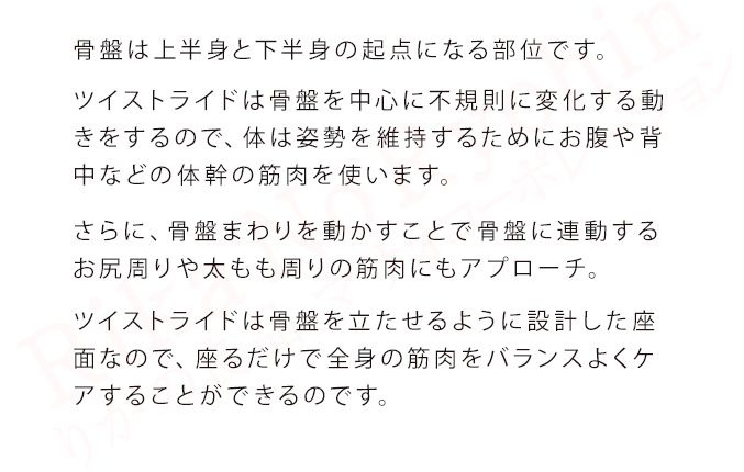 ヤーマン ツイストライド AYS41B 腰回し 体幹 骨盤 トレーニング