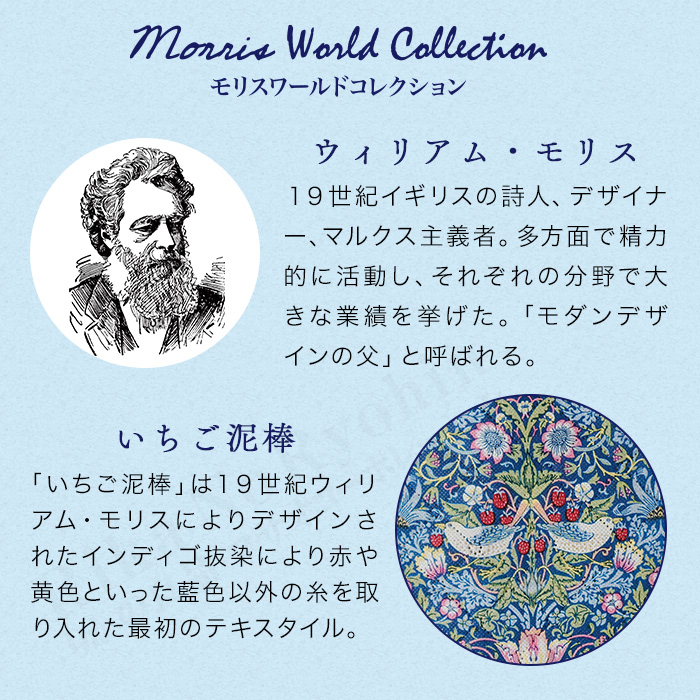 モリスワールドコレクション 炭消臭衣類収納 折りたたみ 仕切り モリス
