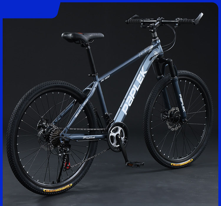 RACCOUNTER マウンテンバイク 青 マウンテンバイク2020年モデル入荷 ｜ ジャイアントストアいわき