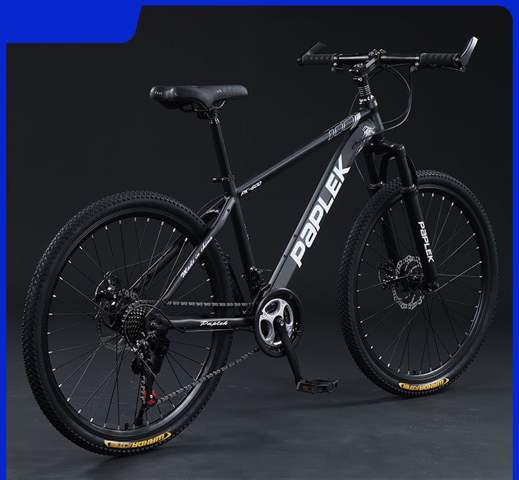 マウンテンバイク ブラック スチールフレーム マウンテンバイク(MTB)（色：ブラック系）｜自転車車体｜自転車
