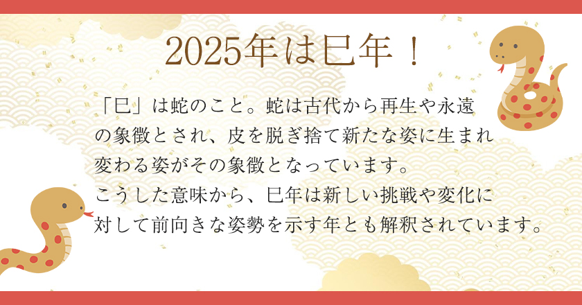 お年賀ギフト巳年