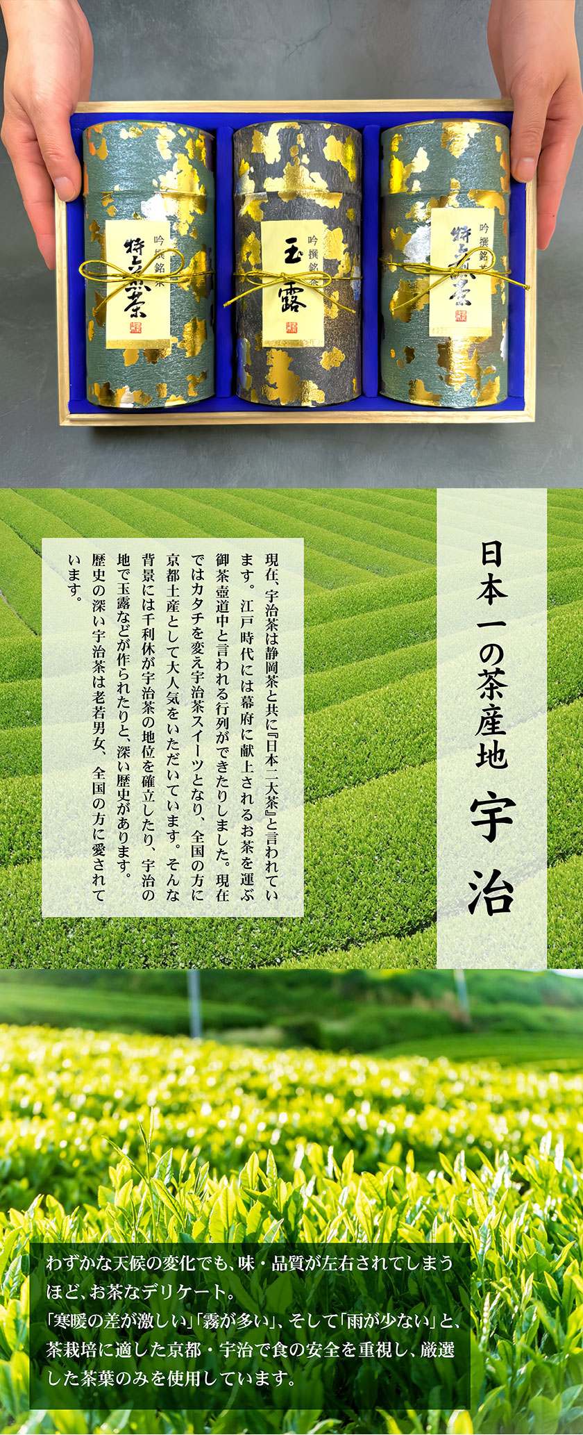 お茶ギフト 高級 寛永3年 京都利休園 公式 お茶 特上煎茶・高級玉露詰合せ 特上煎茶120g2本 高級玉露120g お歳暮 母の日 父の日 お中元 贈り物 贈答品 プレゼント お茶ギフト 国産 茶葉 メーカー直送 SEN-S-1503