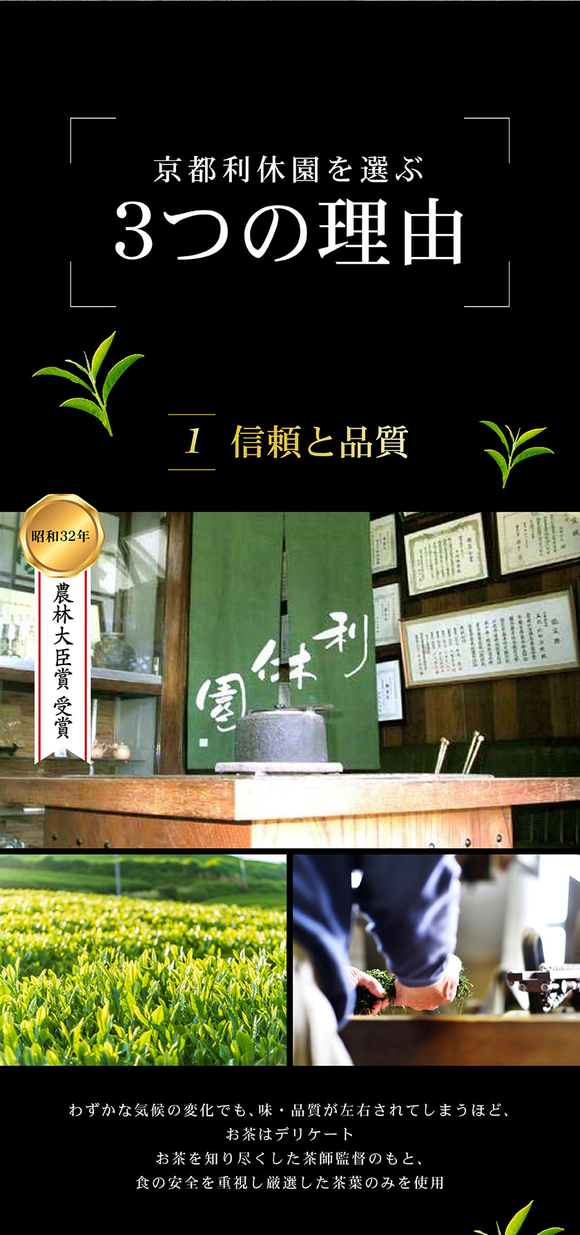 お茶ギフト 高級 寛永3年 京都利休園 公式 お茶 特上煎茶・高級玉露詰合せ 特上煎茶120g2本 高級玉露120g お歳暮 母の日 父の日 お中元 贈り物 贈答品 プレゼント お茶ギフト 国産 茶葉 メーカー直送 SEN-S-1503