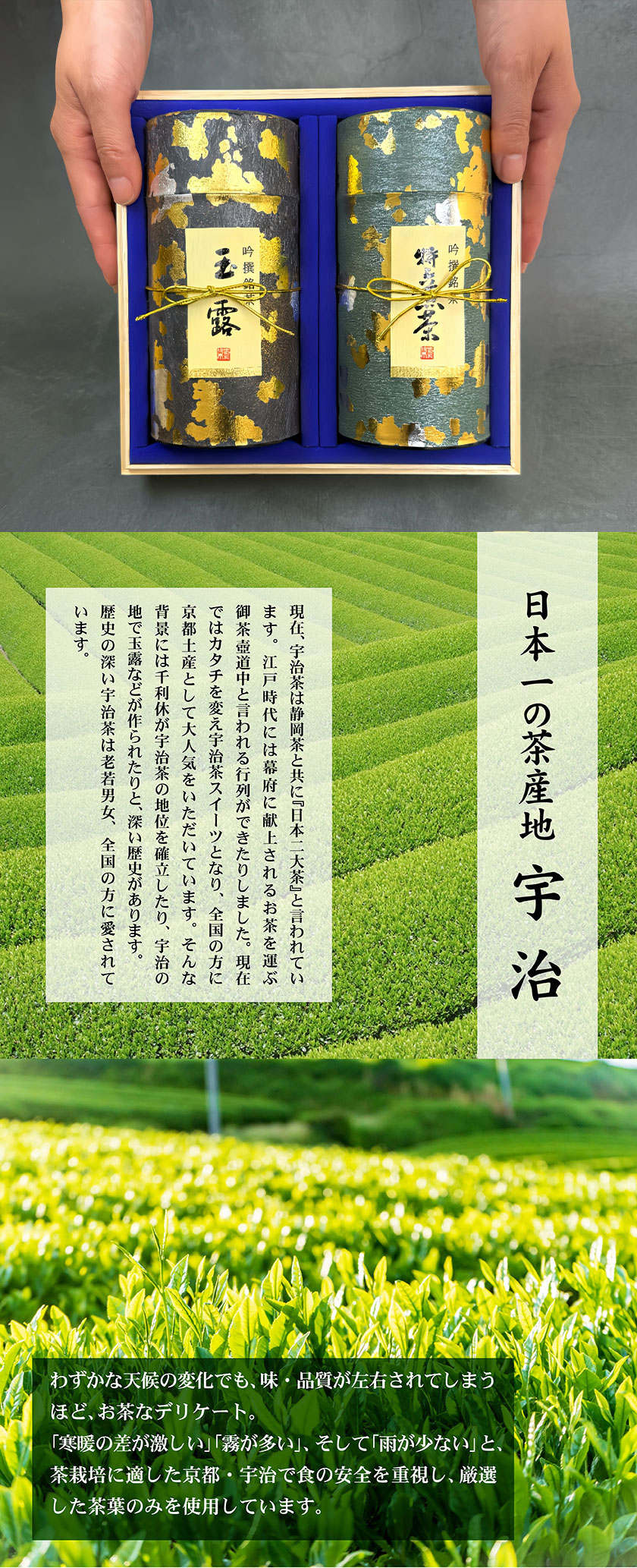 お茶ギフト 高級 寛永3年 京都利休園 公式 お茶 高級玉露・特上煎茶詰合せ 高級玉露120g 特上煎茶120g お歳暮 母の日 父の日 お中元 贈り物 贈答品 プレゼント お茶ギフト 国産 茶葉 メーカー直送 SEN-SG-1002