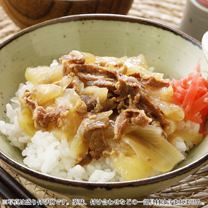 牛丼の具　盛り付け例