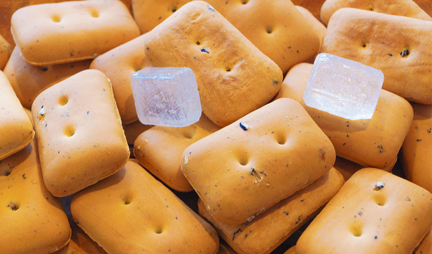 ブルボン 乾パン カン パン 非常食 お菓子 缶詰 保存食 備蓄 5年保存