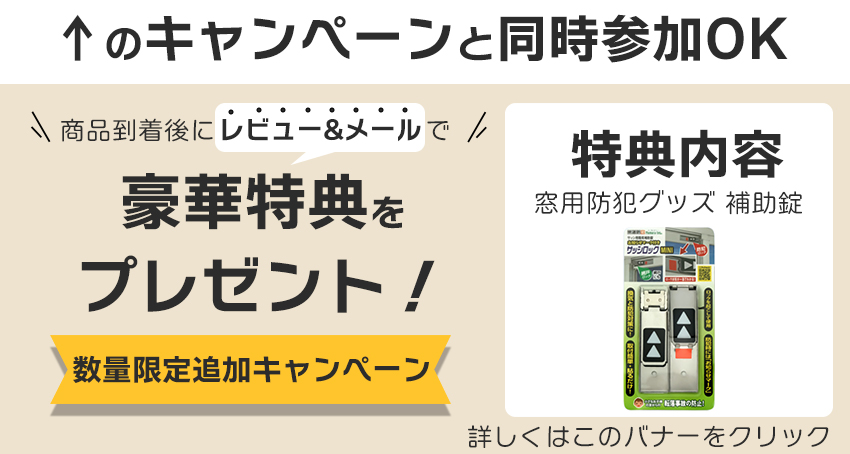 レビューを書いてプレゼント