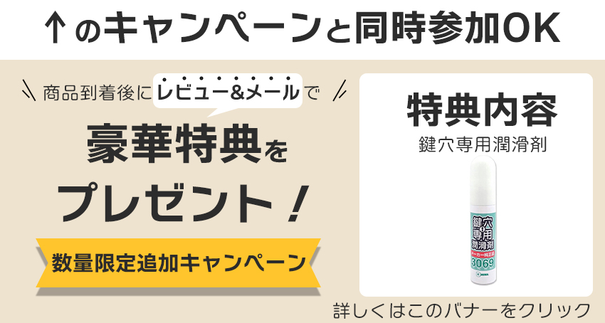 レビューを書いてプレゼント