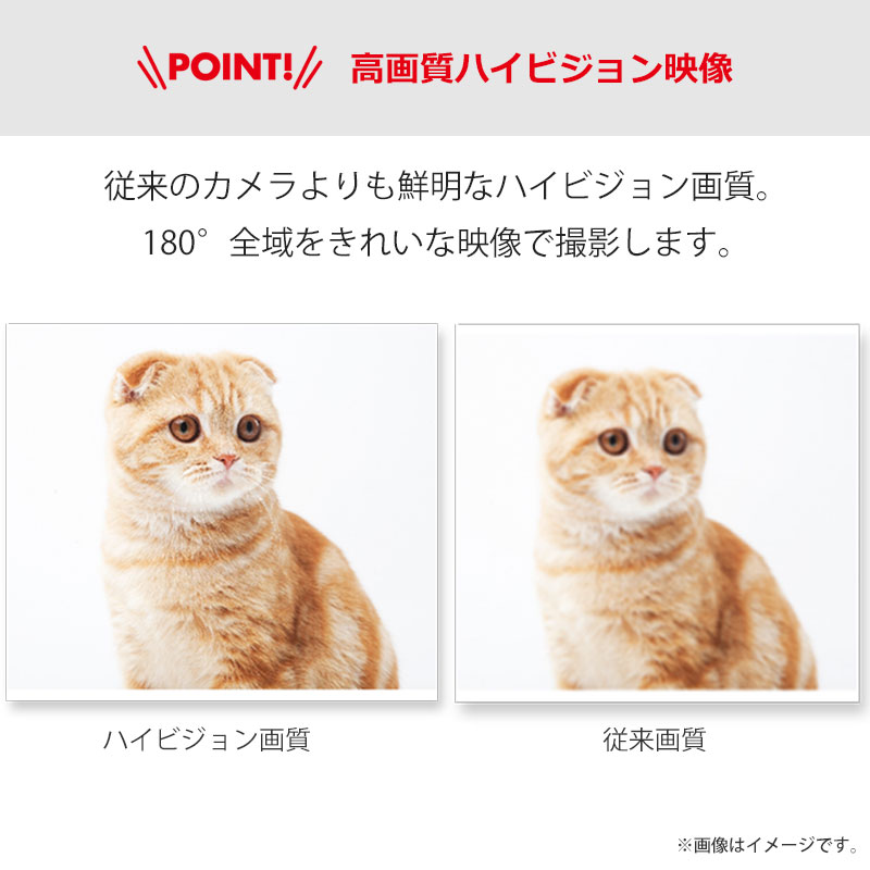 【360度撮影】防犯カメラ ペットカメラ ネットワークカメラ ベビーカメラ 楽天市場】防犯カメラ ベビーモニター ペットカメラ 200万画素